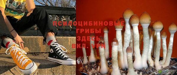 амф Алексеевка